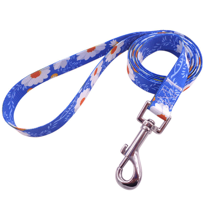 Bright Novel Multi-color Pet Dog Leash