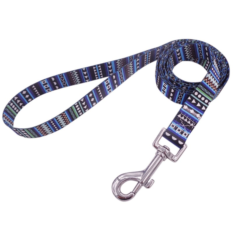 Bright Novel Multi-color Pet Dog Leash